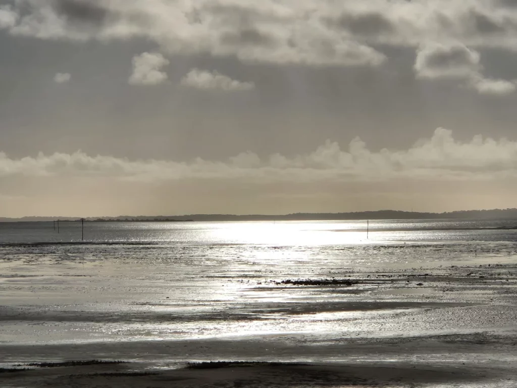 Cabinet NeuroCrdl Esprit Harmonia neurofeedback et CRDL à Belin-Béliet en Gironde